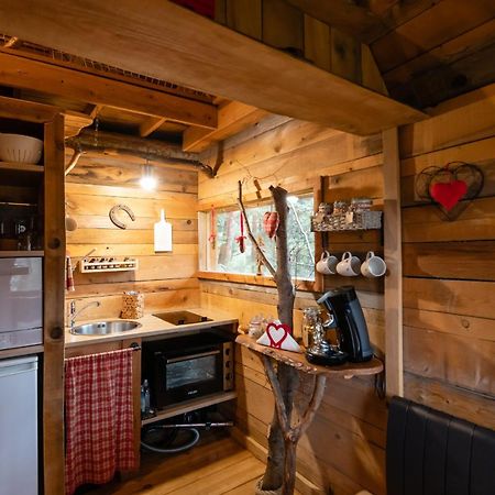 Nids Des Vosges Bed & Breakfast Champdray Dış mekan fotoğraf