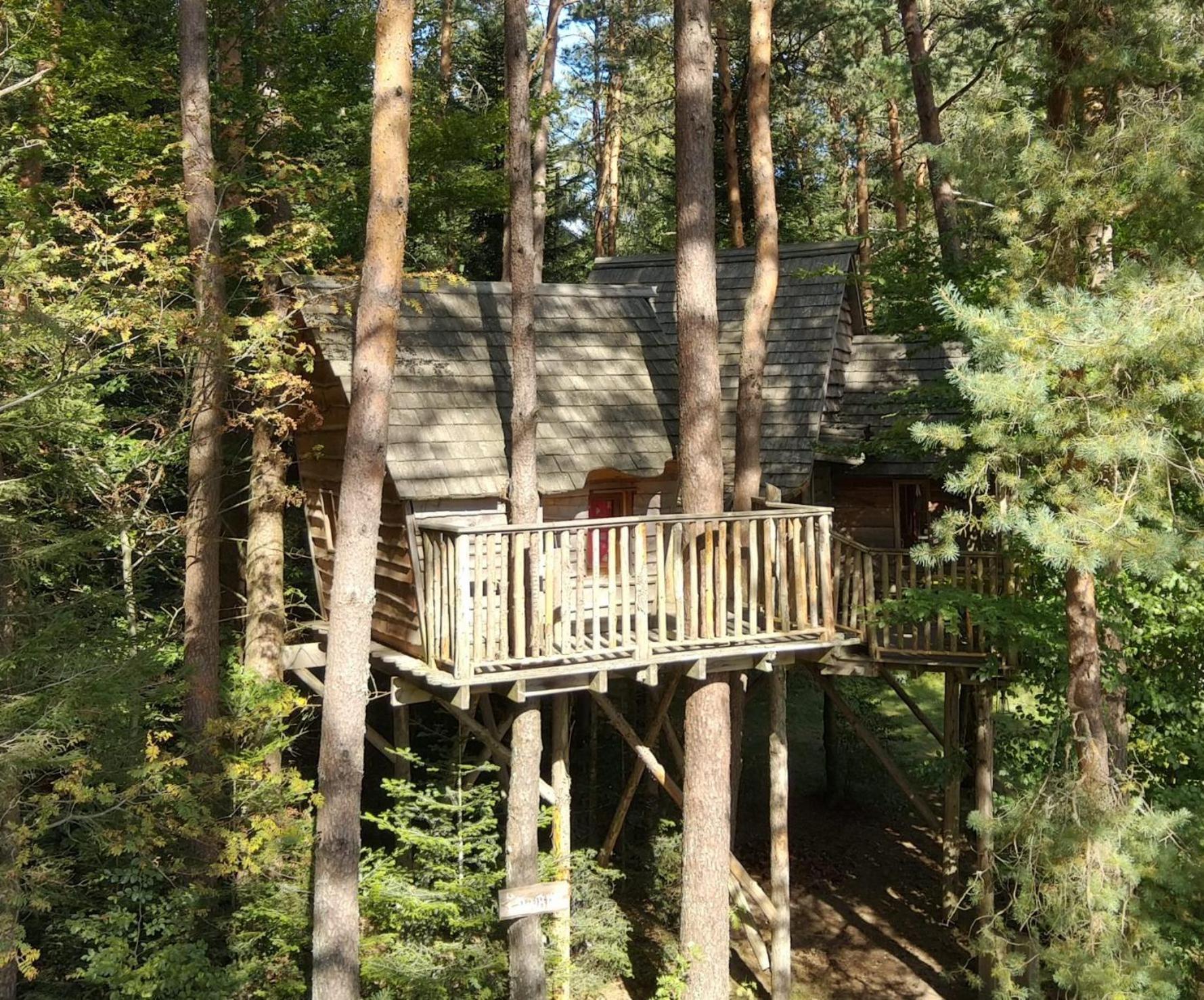 Nids Des Vosges Bed & Breakfast Champdray Dış mekan fotoğraf
